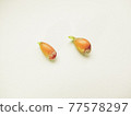 Lemon seeds 77578297