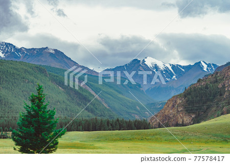 the landscape of the mountains 77578417