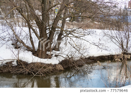 Snow on the river bank in the city of Vidnoye, trees near the water, reflection, background Snow on the river bank in the city of Vidnoye, trees near the water, reflection, background 77579646