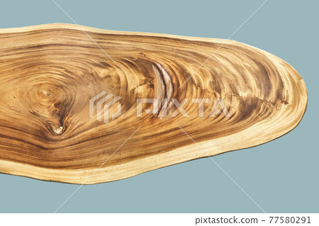 Texture of live edge suar wood slab with knot on blue background 77580291