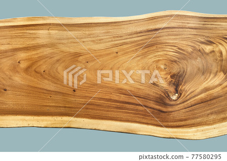 Texture of live edge suar wood slab with knot on blue background 77580295