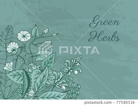 hand drawn medical herbs illustration - Stock Illustration [77580316 ...