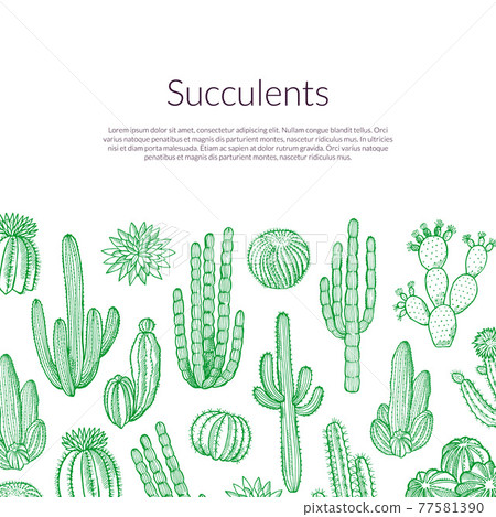 hand drawn wild cacti plants background with place for text illustration hand drawn wild cacti plants background with place for text illustration 77581390