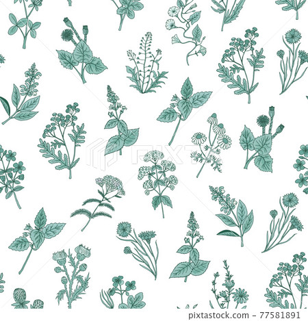 hand drawn medical herbs pattern or background... - Stock Illustration ...