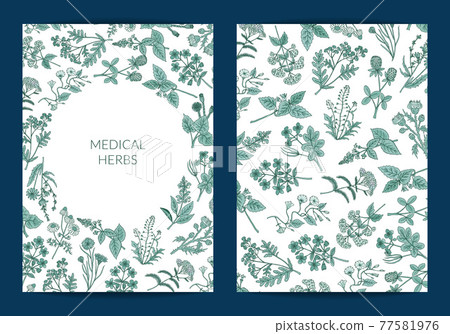 hand drawn medical herbs card or flyer template... - Stock Illustration ...