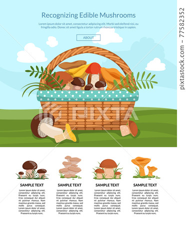 landing page illustration with cartoon mushrooms landing page illustration with cartoon mushrooms 77582352