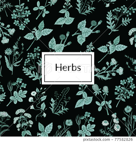 hand drawn medical herbs background illustration - Stock Illustration ...