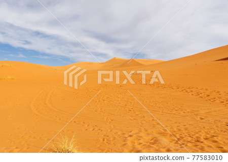 Sahara Desert. Morocco Sahara Desert. Morocco 77583010