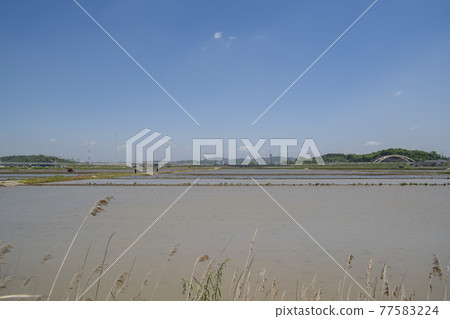 京畿道始興市厚木 京畿道始興市厚木 77583224