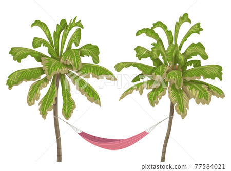 Hammock hanging between two palm-trees Hammock hanging between two palm-trees 77584021