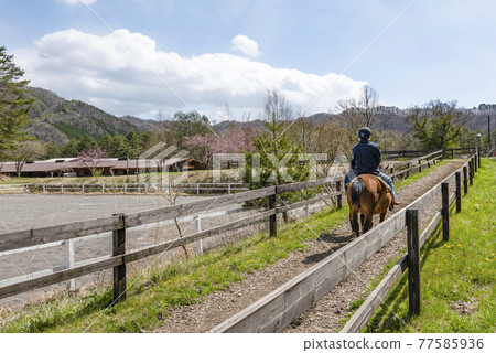 Horseback riding experience (at Kaida Kogen, Kisouma no Sato) Horseback riding experience (at Kaida Kogen, Kisouma no Sato) 77585936