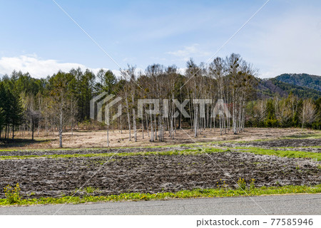 Kaida Kogen in spring 77585946