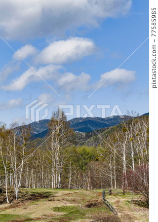 Kaida Kogen in spring Kaida Kogen in spring 77585985