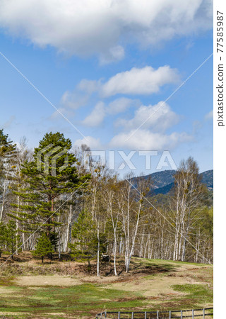 Kaida Kogen in spring Kaida Kogen in spring 77585987