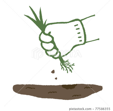 Hands to pull out weeds 77586355