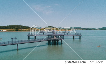 全羅南道新安紫島 77586594