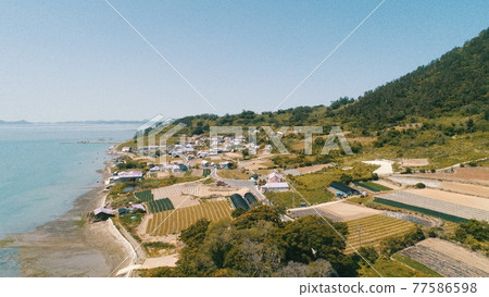 Purple Island, Shinan, Jeollanam-do Purple Island, Shinan, Jeollanam-do 77586598