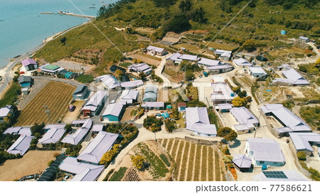 全羅南道新安紫島 77586621