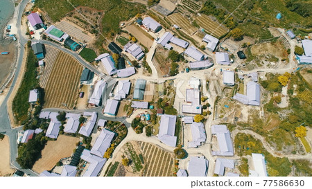 全羅南道新安紫島 77586630