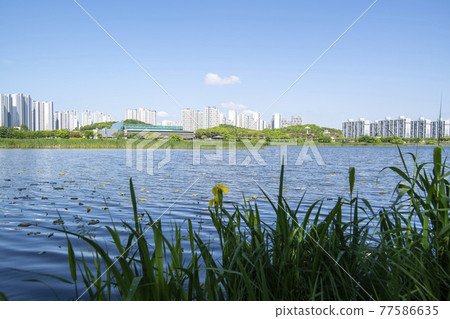 華朗湖 華朗湖 77586635
