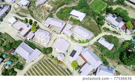 全羅南道新安紫島 全羅南道新安紫島 77586636