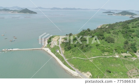 全羅南道新安紫島 全羅南道新安紫島 77586638