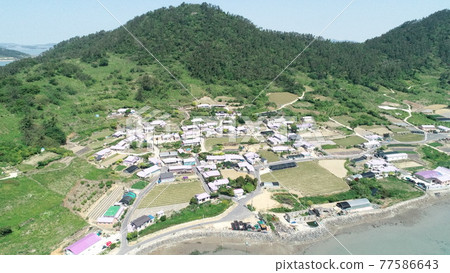 全羅南道新安紫島 全羅南道新安紫島 77586643