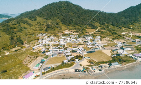 全羅南道新安紫島 全羅南道新安紫島 77586645