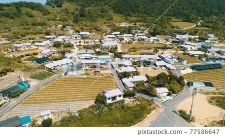 全羅南道新安紫島 全羅南道新安紫島 77586647