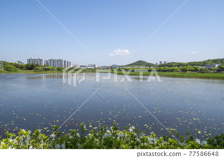 華朗湖 華朗湖 77586648