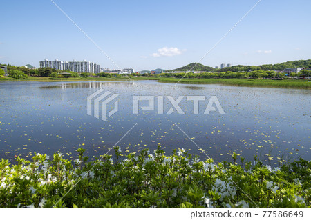 華朗湖 華朗湖 77586649