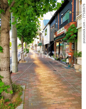 Morning in Okamoto, Higashinada-ku, Kobe Morning in Okamoto, Higashinada-ku, Kobe 77586676