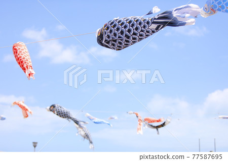 鯉魚旗 77587695