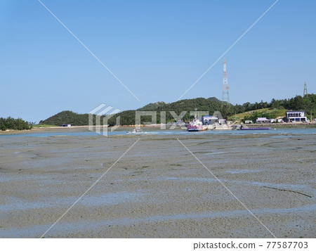 Purple Island, Shinan, Jeollanam-do 77587703