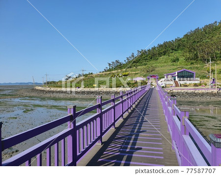 Purple Island, Shinan, Jeollanam-do 77587707