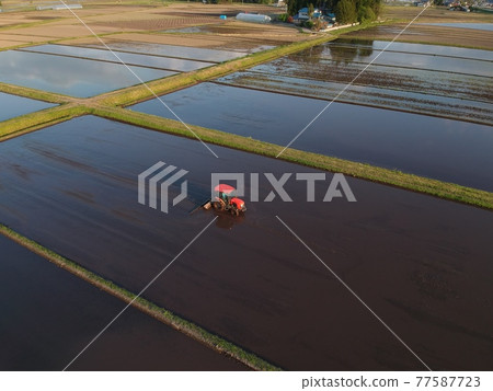 Rice field scraping work Tractor Agriculture Rural scenery Akita Prefecture 77587723