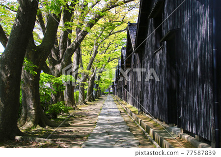 Sankyo Soko (Sakata City, Yamagata Prefecture) Sankyo Soko (Sakata City, Yamagata Prefecture) 77587839