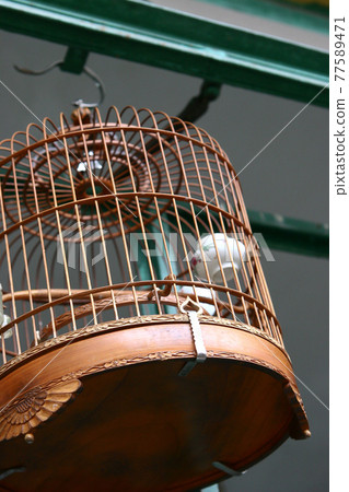 a Birdcages with the birds at the tea house a Birdcages with the birds at the tea house 77589471