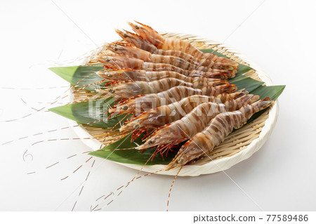 Shrimp 77589486