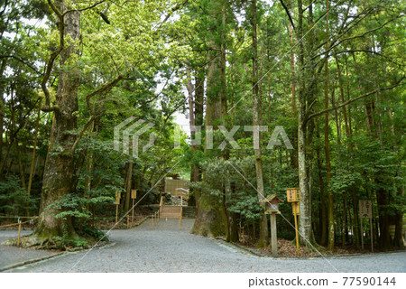 Mysterious scenery of Ise Jingu Mysterious scenery of Ise Jingu 77590144