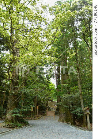 伊勢神宮的神秘景色 伊勢神宮的神秘景色 77590146
