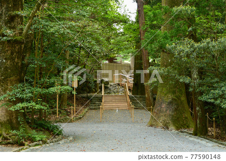 Mysterious scenery of Ise Jingu Mysterious scenery of Ise Jingu 77590148