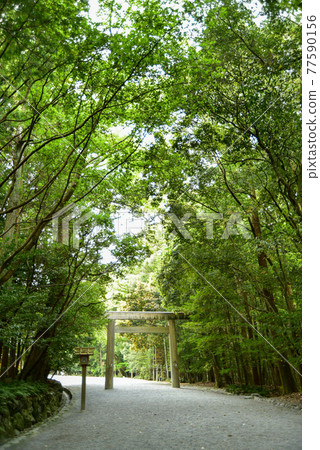 Mysterious scenery of Ise Jingu Mysterious scenery of Ise Jingu 77590156