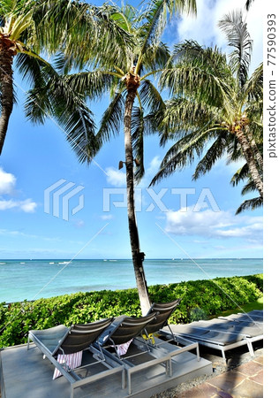 夏威夷的假期 夏威夷的假期 77590393