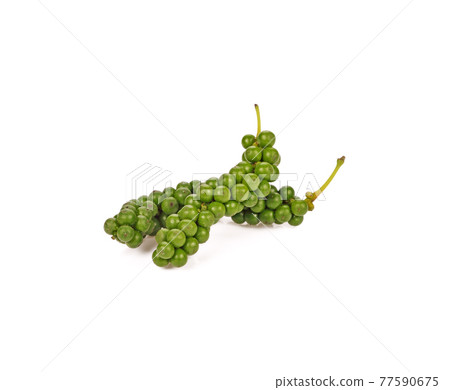 fresh pepper isolated on white background fresh pepper isolated on white background 77590675
