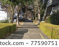 當地城市的景觀一條狹窄的人行道，在住宅區之間穿行 77590751