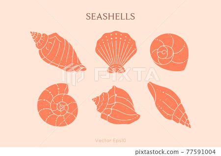Set of Seashells Outline Icons in a Trendy Minimal Style. Vector Illustration of a Conch, Snail, Scallop and Oyster 77591004