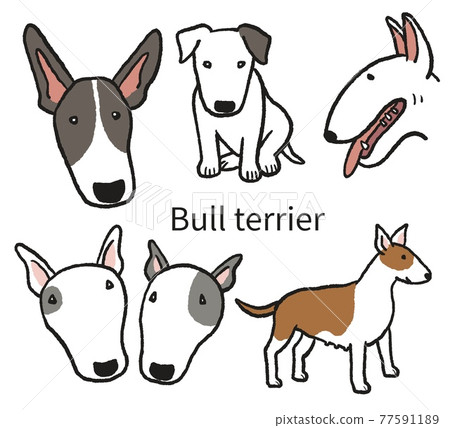 鬥牛梗插圖集 77591189