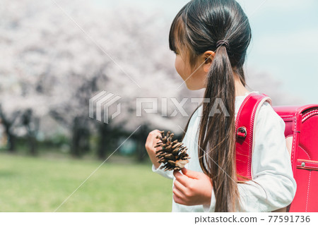 小學一年級新生 77591736