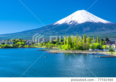 《山梨縣》初夏富士山河口湖美景 《山梨縣》初夏富士山河口湖美景 77592466